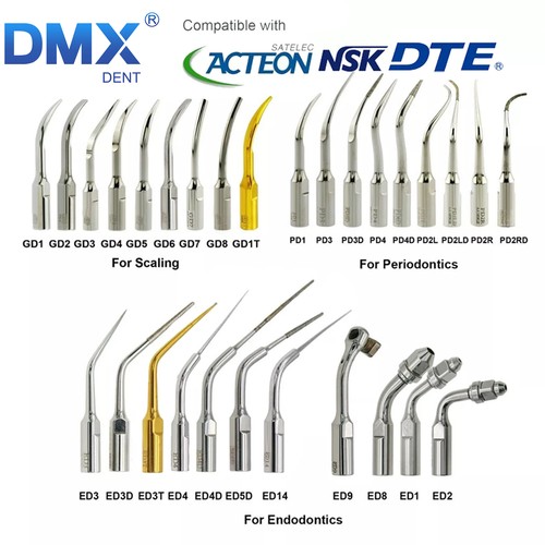 Dmxdent punte per - dmxdent,