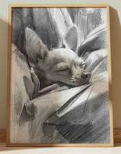 CHIHUAHUA DISEGNO STAMPA