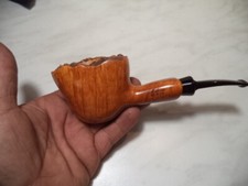 PIPA PIPE MOLINA IN RADICA