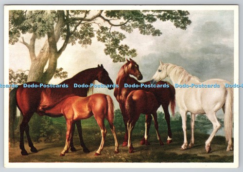 D324860 mares and foals - mares,