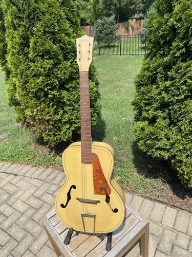 Battipenna tartaruga chitarra