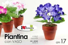 Pianta ortensia piantina - ortensia, finta