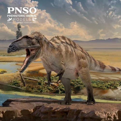 Pnso 2022 fergus - pnso,