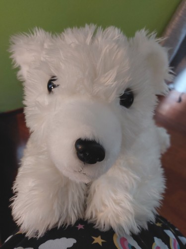 Peluche orso polare - peluche,