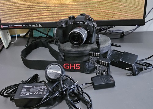 Panasonic lumix gh5 g vario - +,