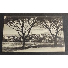 Cartolina Bordighera - Viale dei Pini