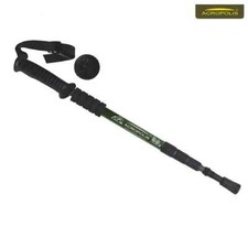 Raccoglitore Telescopico