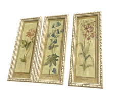 Cheri blum incorniciato arte - 3,