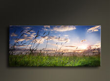 Quadri Moderni Paesaggi