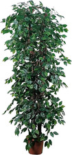 Pianta artificiale per - artificiale,
