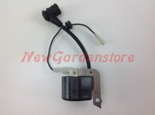 Bobina accensione blue bird