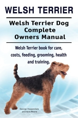 Welsh terrier - welsh, terrier.