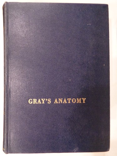 Gray anatomy of - gray's,