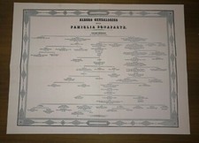 Family Tree of the Bonaparte