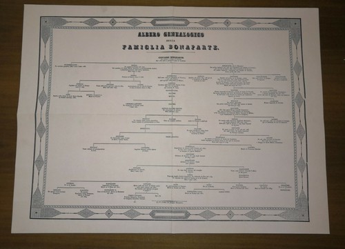 Albero genealogico della - genealogico,