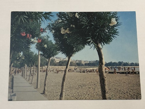 1980 reggio calabria - calabria, lido