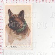 I7467 ANIMALE CANE 1930 CELESQUE SERIES ILLUSTRATORE VERNON STOKES PHOTOCHROM