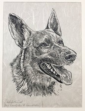 Cane Pastore Tedesco Linoleum