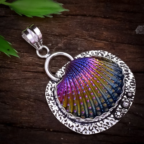 Beautiful rainbow sea - sea, shell