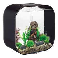 Oasi biOrb LIFE 30 MCR Nero