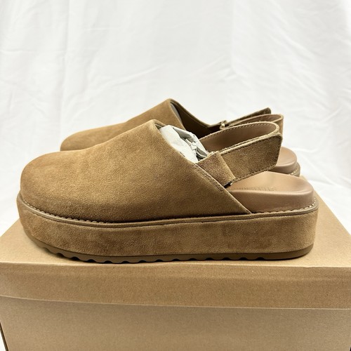 Nuovi zoccoli steve madden - nuovi,