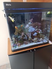 acquario marino completo, con filtro esterno, ed eventuale refrigeratore