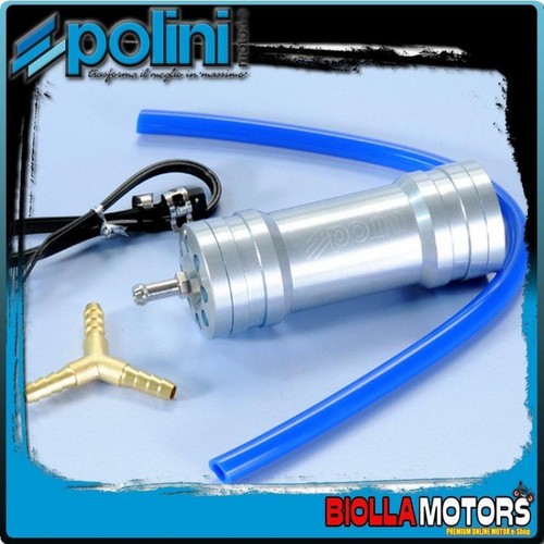 173 0017 polmone - 173.0017,