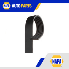 Cinghia di trasmissione 6 costole Multi V adatta per SEAT IBIZA 6L1 1.9D 02 al 09 cancelli 038903137M nuova