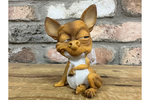 Smirking grining chihuahua - smirking,