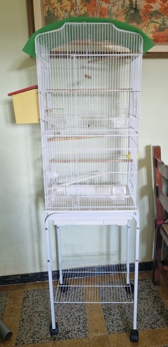 Gabbia voliera per uccelli - gabbia,