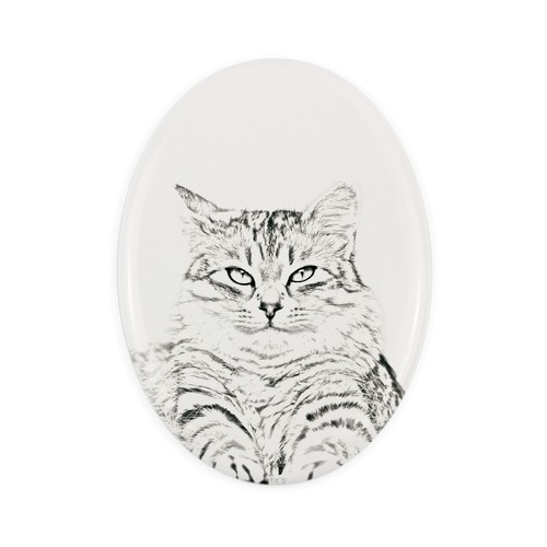 Gatto siberiano lapide con - gatto,