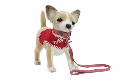 Hansa chihuahua giacca - hansa, in