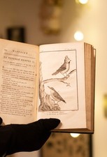 BUFFON, libro antico 1800