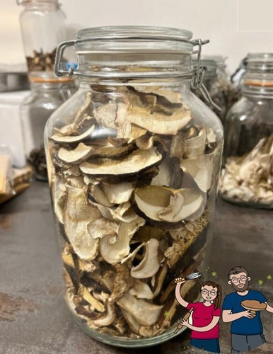 Funghi porcini secchi - funghi,
