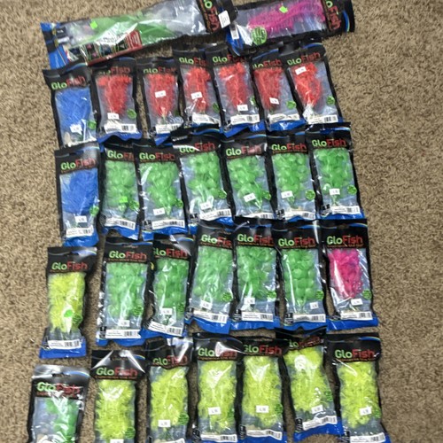 Glofish piante acquario - piante,