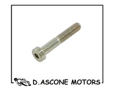 VITE PEDANA DUCATI MONSTER 400