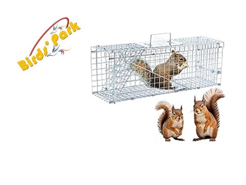 Gabbia trappola buona per - gabbia, trappola-buona