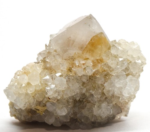 Cactus quartz cristallo punto - cactus,