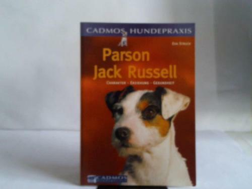 Parson jack russell - jack,