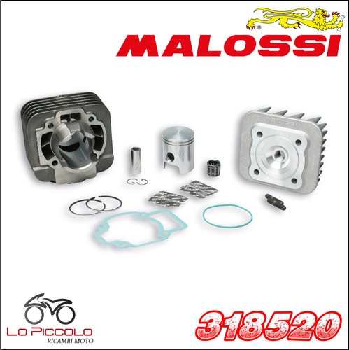 318520 malossi gruppo termico - 318520,