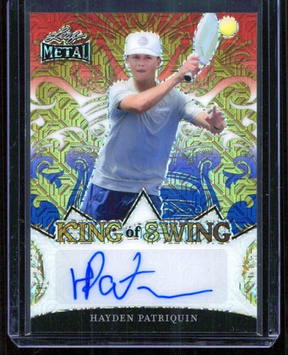 2024 leaf metal hayden - 2024,