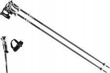 Bastoncini da Sci Alpino