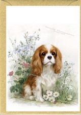 Biglietto Auguri Cavalier King