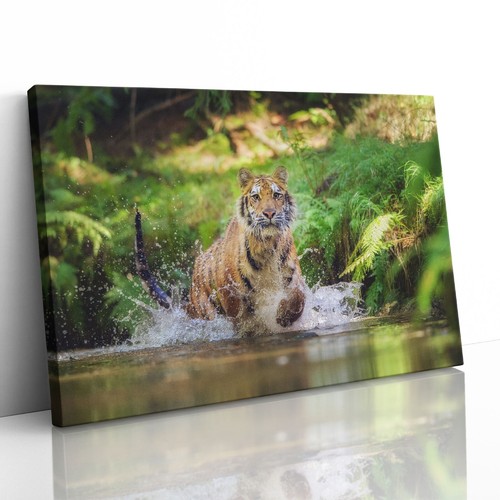 Quadro stampa tela tigre - stampa, su