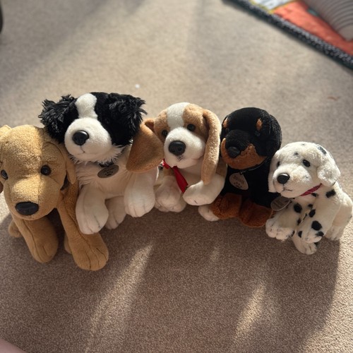 Chiglia peluche cane bundle - chiglia, x5