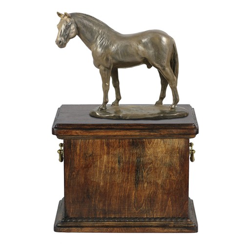 Cavallo hannoveriano urna - , in