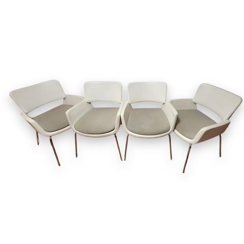 Set sedie pranzo - set,