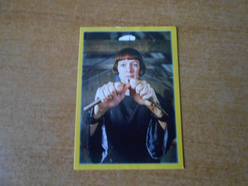 Figurina harry potter animali - harry,
