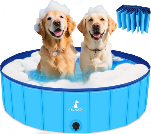 Piscina per cani - per, cani,