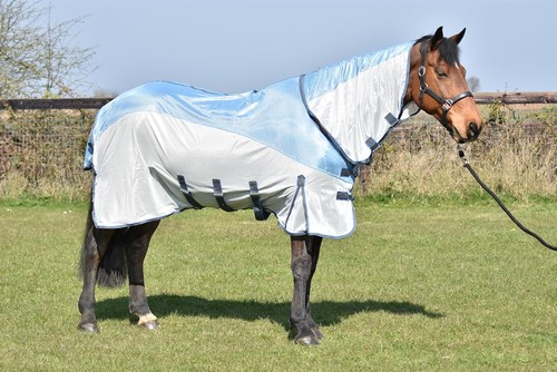 Tappeto mosca cavallo - , tutto